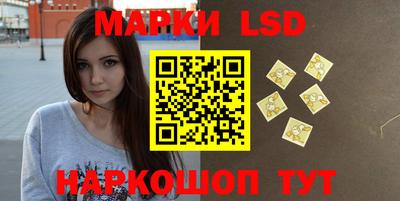 МДПВ Бийск