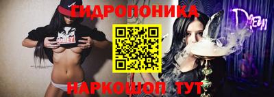 МДПВ Бийск
