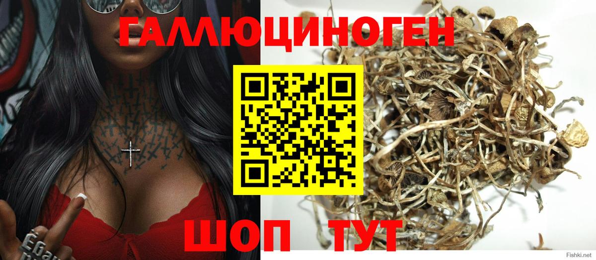 Жигулёвск  Псилоцибиновые грибы прущие грибы  Галлюциногенные грибы Psilocybine cubensis  Вход с VPN 
