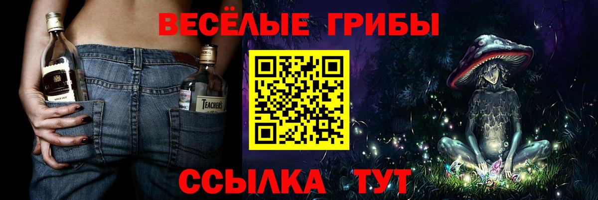 наркошоп  Жигулёвск  Галлюциногенные грибы Cubensis 